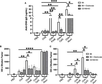 CD169+ Subcapsular Macrophage Role in Antigen Adjuvant Activity